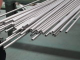 Asme SA789 Stainless Steel Heat Exchanger Tube Cold Rolled
