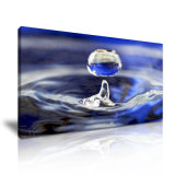 Instant Drops of Water Canvas Printed Painting
