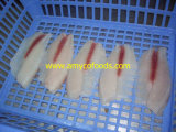High Qualtiy Deep Skinned Tilapia Fillet From Professional Tilapia Fillet Producer in China