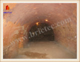 Coal Natural Gas Drying Kiln in India for Sale