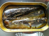 125g Oval Can Canned Sardine in Tomato Sauce with Chilli