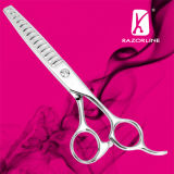 Razorline 2011 Creation Line Hairdressing Scissor (SK09TRA)