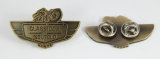 Customized Metal Pin Badge in Antique Brass Plating (PN087)
