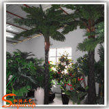 Professional Manufacture Artificial Plants Fiber Glass Palm Tree