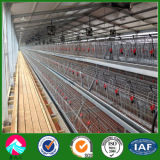 Layer Poultry Farm Machine and Chicken Cage Layer House