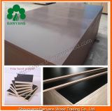 1220*2440*18mm Construction Formwork Film Faced Plywood