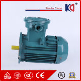 Three Phase Explosion Proof Electric AC Induction Motor