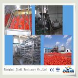 Machinery for Tomato Sauce