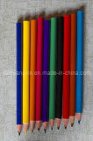 Color Pencil (PCS-002)
