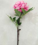 Artificial Silk Single Stem Peony Flowers for Decoration