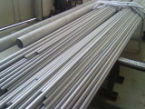 Stainless Steel Pipe (Sus 304/304L)