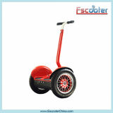 China Popular Sale Electric Bicycle for Sale