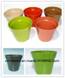 Flower/Plant Pot/Bamboo Fiber/Plant Fiber/Vase/Garden/Promotional Gifts/Home Decoration/Garden Decorations/Natural Bamboo Fiber Biodegradable Pots (ZC-F20006)