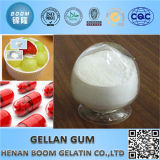 Favorable Price and Best Quality of Gellan Gum