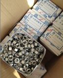 Stainless 310S Uns S31008 Stud Bolt Nut Washer Fasteners