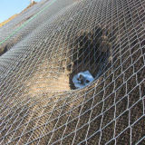 Wire Mesh Sns Productive Netting