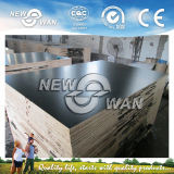 Shandong Manufacture Construction Film Faced Plywood (NFFP-1122)