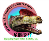 Zigong City Dragon Culture & Arts Co., Ltd.