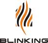 Shenzhen Blinking Technology Co., Ltd.