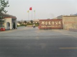 Xingtai Dongfang Bicycle Co., Ltd.