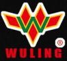 Changzhou Wujin Wuling Diesel Engine Co., Ltd.
