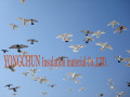 Xuchang Yongteng Insulation Material Co., Ltd