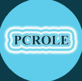 Pcrole Electronic Co., Ltd.