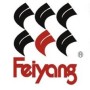 Feiyang Novel Materials Corporation Limited