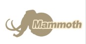 Henan Mammoth International Co., Ltd