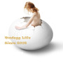 Madegg Life Co., Ltd.