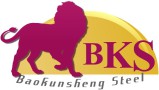 Tianjin Baokunsheng Steel Trading Co., Ltd.