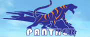 Panther Group Co., Ltd.