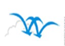 Shenzhen View Well Industry Co., Ltd.