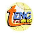 Tengfei Toy Manufactury Co., Ltd.