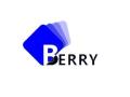 Shenzhen Berry Technology Co., Ltd.