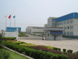 Shijiazhuang Woosche Chemical Co., Ltd.