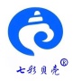 Colorful Shell Hong Kong Co., Ltd