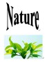 Guangzhou Nature Trading Co., Ltd