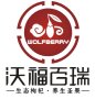 Ningxia Wolfberry Biological and Food Engineering Co., Ltd.