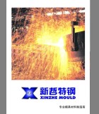 Yongkang Xinzhe Special Steel Co., Ltd.