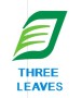 Zhengjiang Three Leaves Environment Technology Co., Ltd