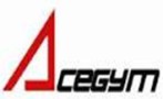 Dezhou Acegym Fitness Equipment Co., Ltd.