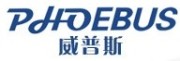 Shandong Phoebus Rubber Co., Ltd.