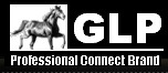 Gallop Electric Co., Ltd
