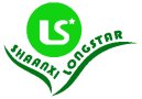 Shaanxi Longstar New Material Technology Co., Ltd.