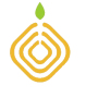 Shenzhen Yang Ming Electronics Co., Ltd