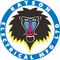 Rayson Electrical Mfg., Ltd.