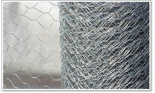 Galvanized Hexagonal Wire Netting