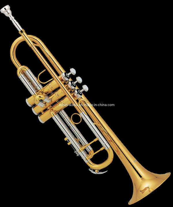 Trumpet (TR410)