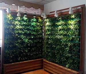 Movable Vertical Green Wall with Drip Water Circulation Type